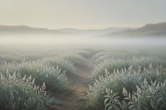 Wide misty field of wild white sage at dawn with a worn path leading into the distance — Clover's Charm