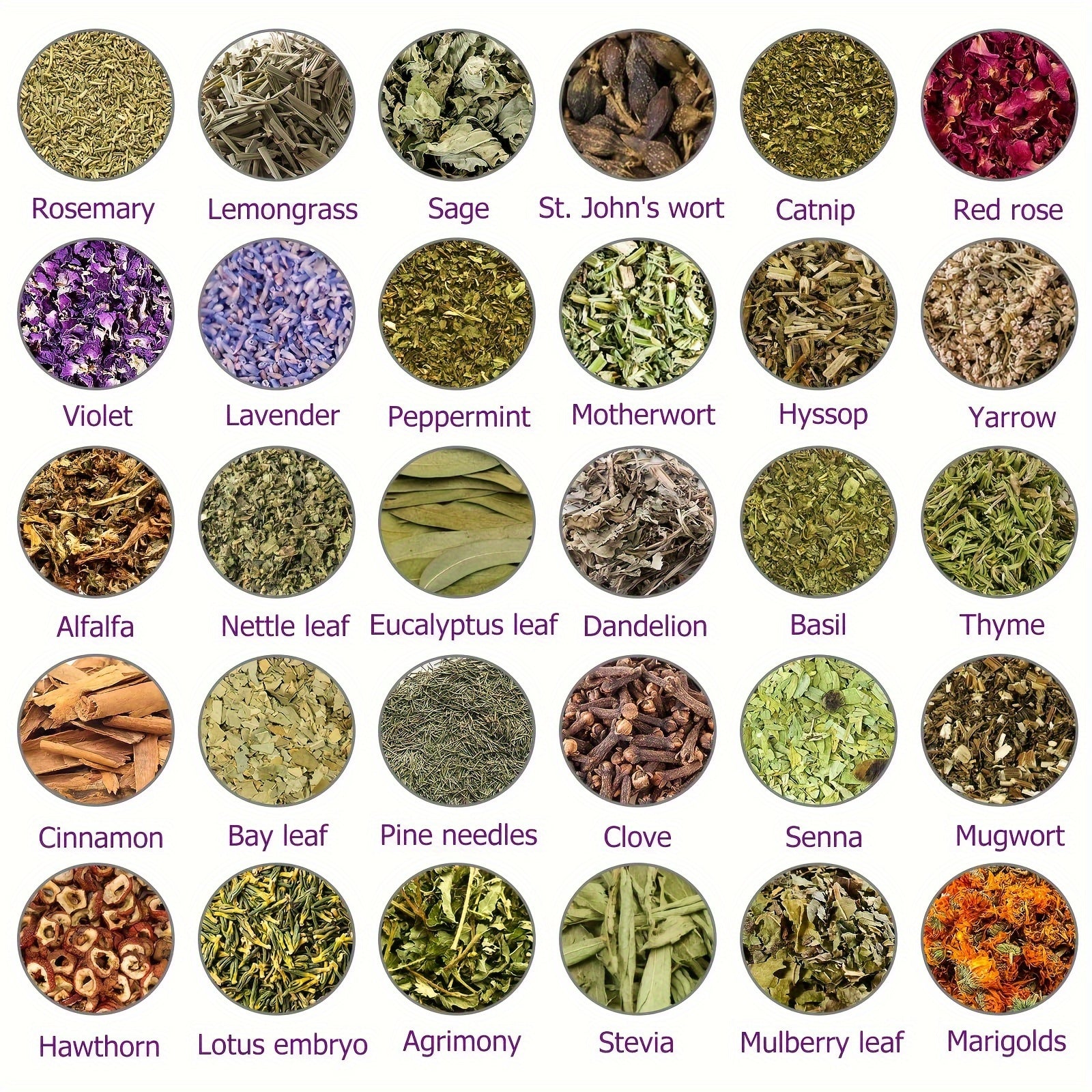Assorted dried herb textures displayed in individual sections showing varied colors leaf shapes and botanical materials