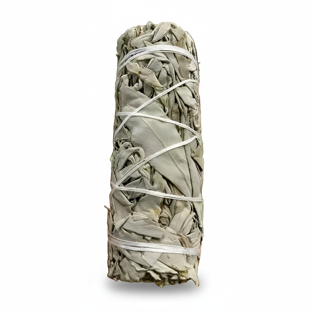 Bundled sage with white string on a white background