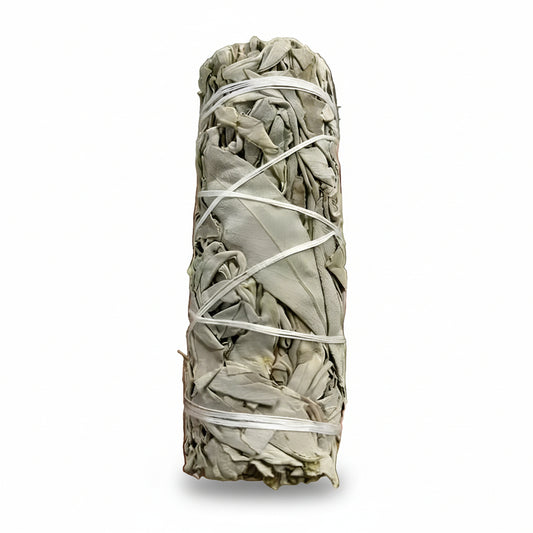 Bundled sage with white string on a white background