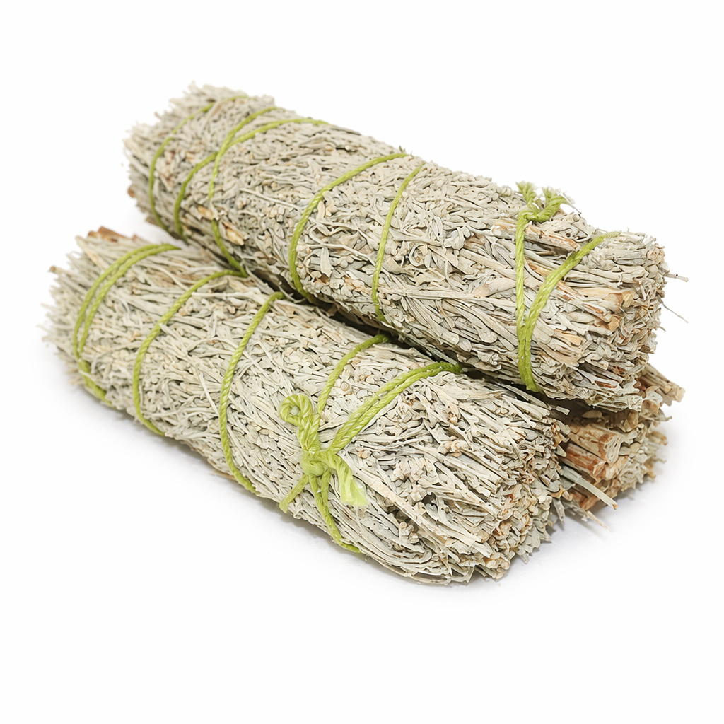 Three bundles of sage tied with green string on a white background - Clover's Charm