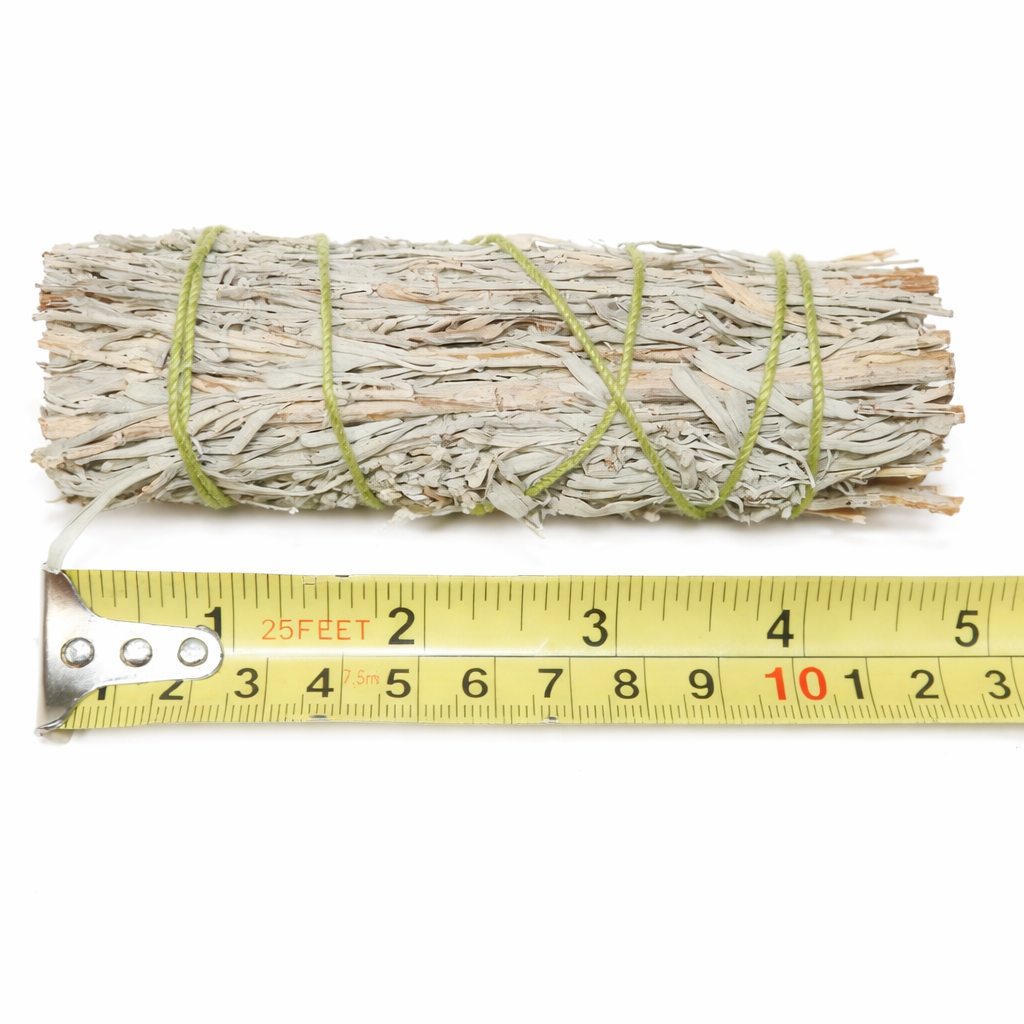 Bundled sage with a measuring tape showing its length on a white background - Clover's Charm