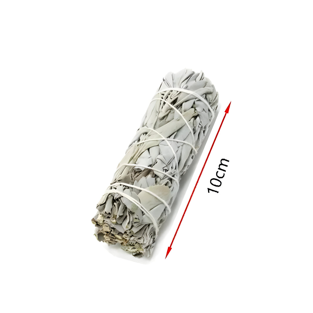 Rolled sage smudge stick with a measurement label on a white background