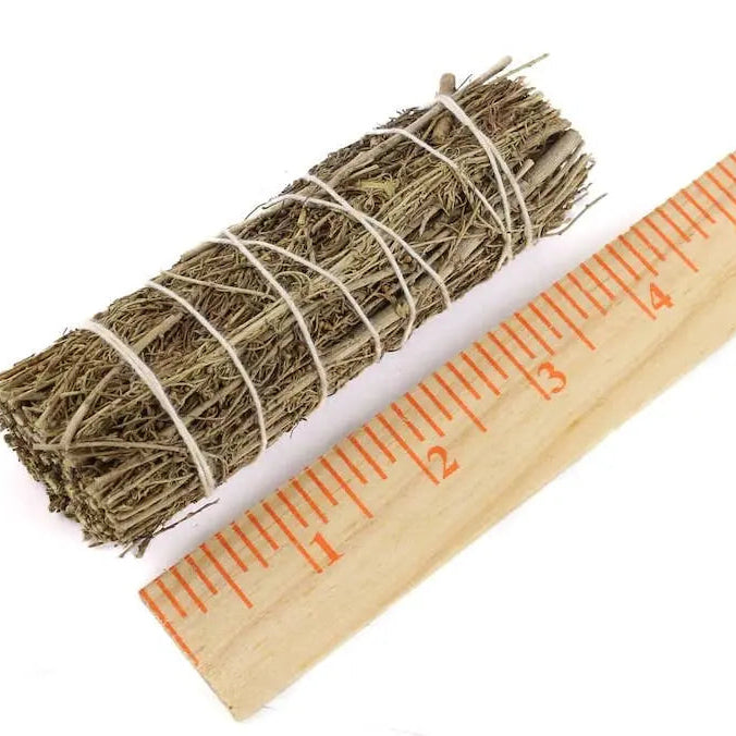 Bundled sage with a wooden ruler for scale on a white background