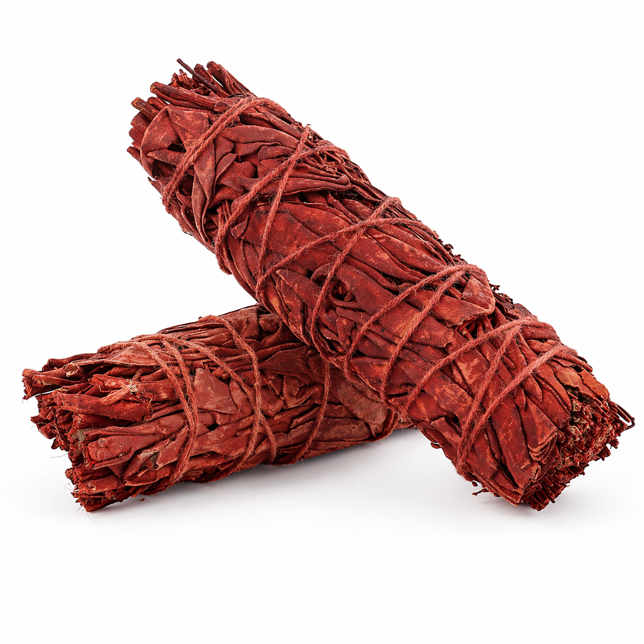 Two bundles of red dragon's blood sage tied together on a white background - Clover's Charm