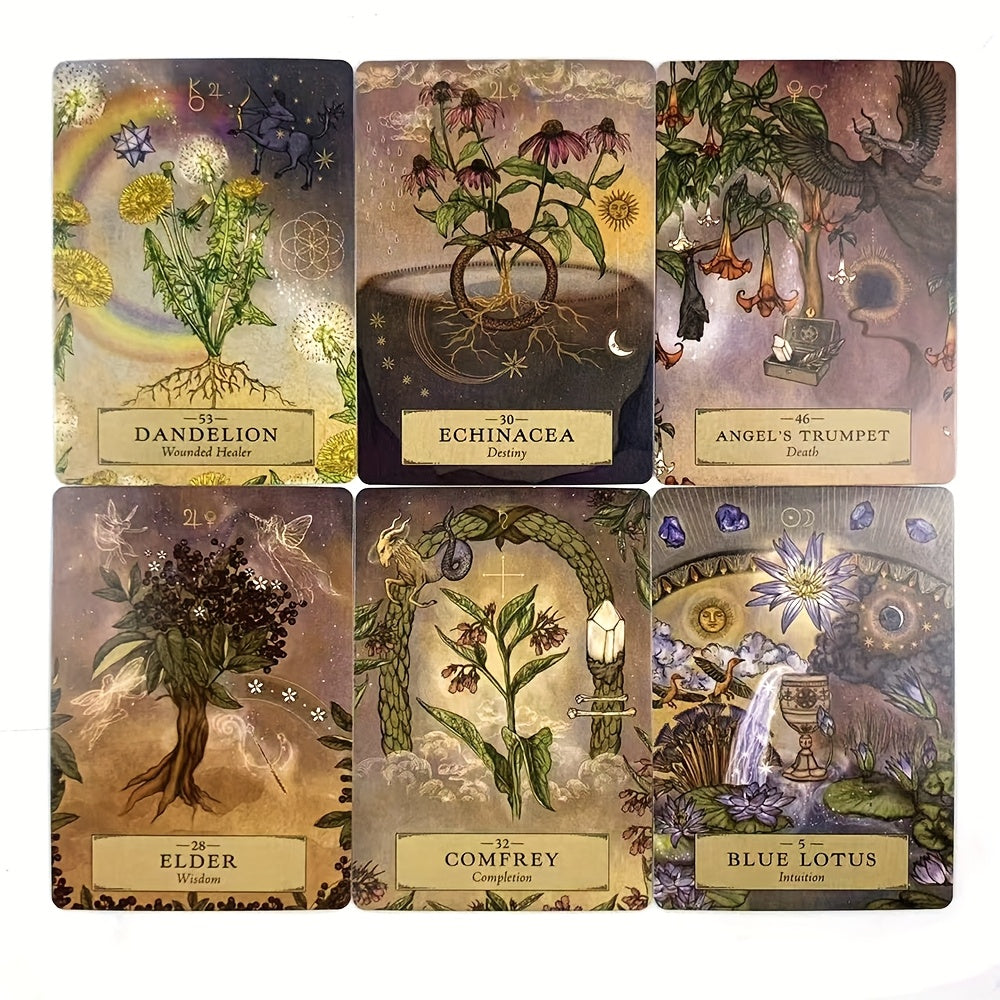 Set of six tarot cards with botanical designs and names