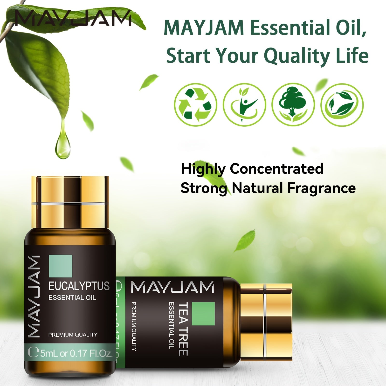 MAYJAM eucalyptus and tea tree essential oil bottles with green leaf imagery and text highlighting concentrated natural fragrance