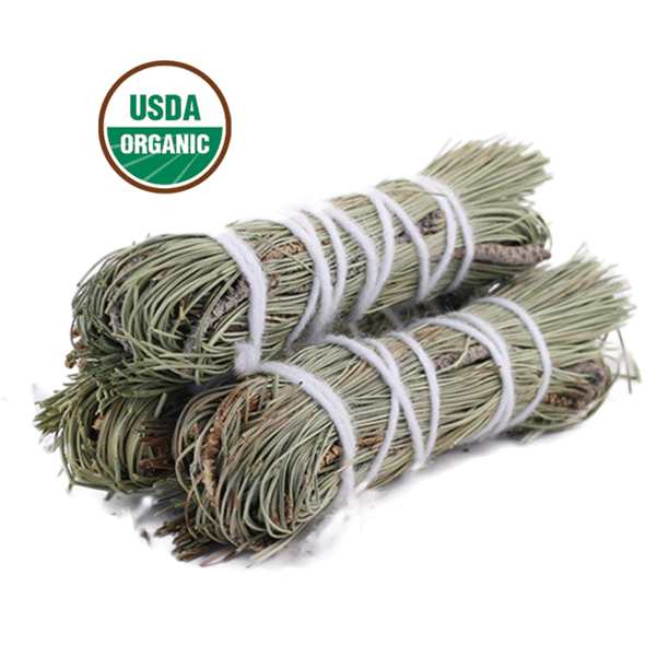 3 Dried pine needles and sage leaves smudge bundles wrapped in white string - Clover's Charm