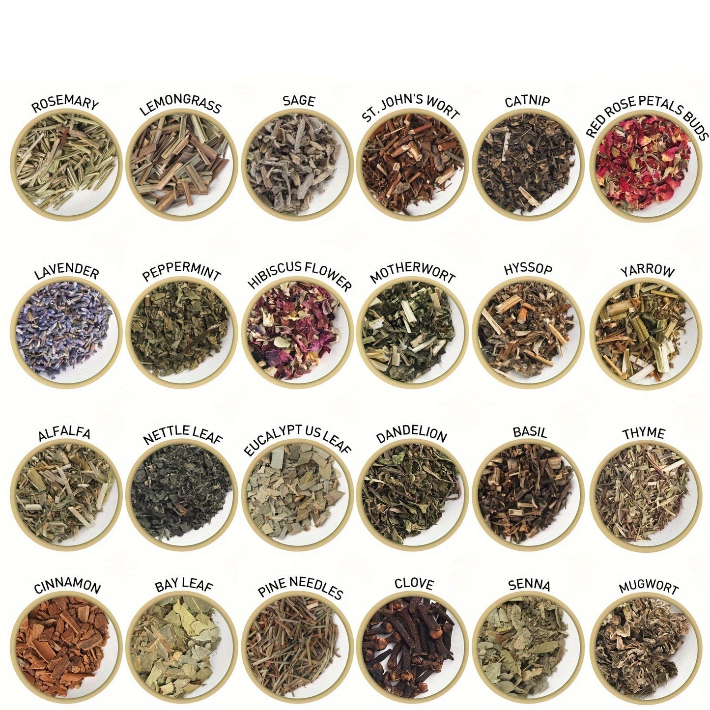 Ritual inspired botanical decor kit showing individual dried herbs and flowers in circular displays