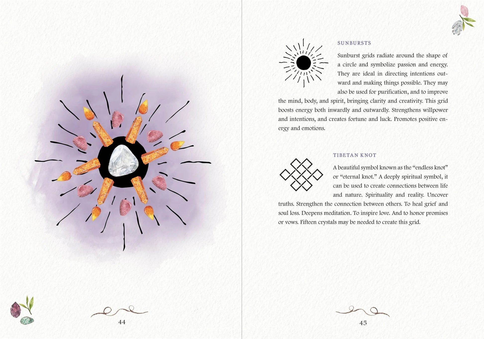 Open book with illustrations and text on a white background