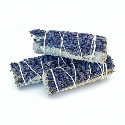 Three bundles of lavender tied together with twine on a white background