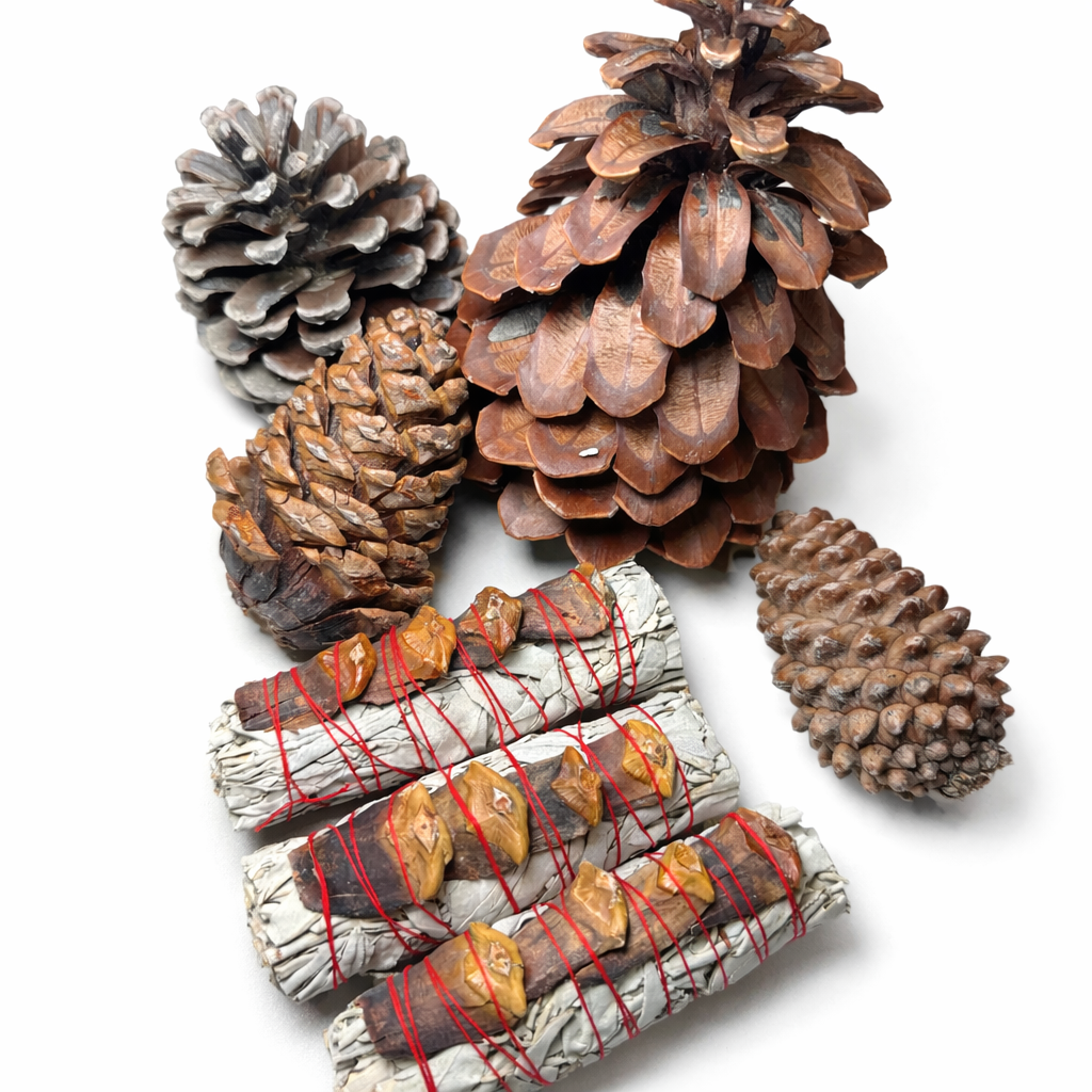Bundles of sage & pine with red string and pine cones on a white background - Clover's Charm