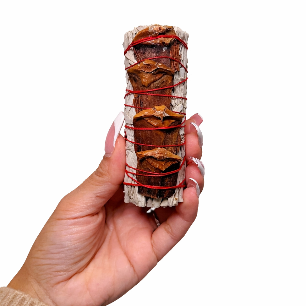 Hand holding a sage & pine smudge stick with red string against a white background - Clover's Charm