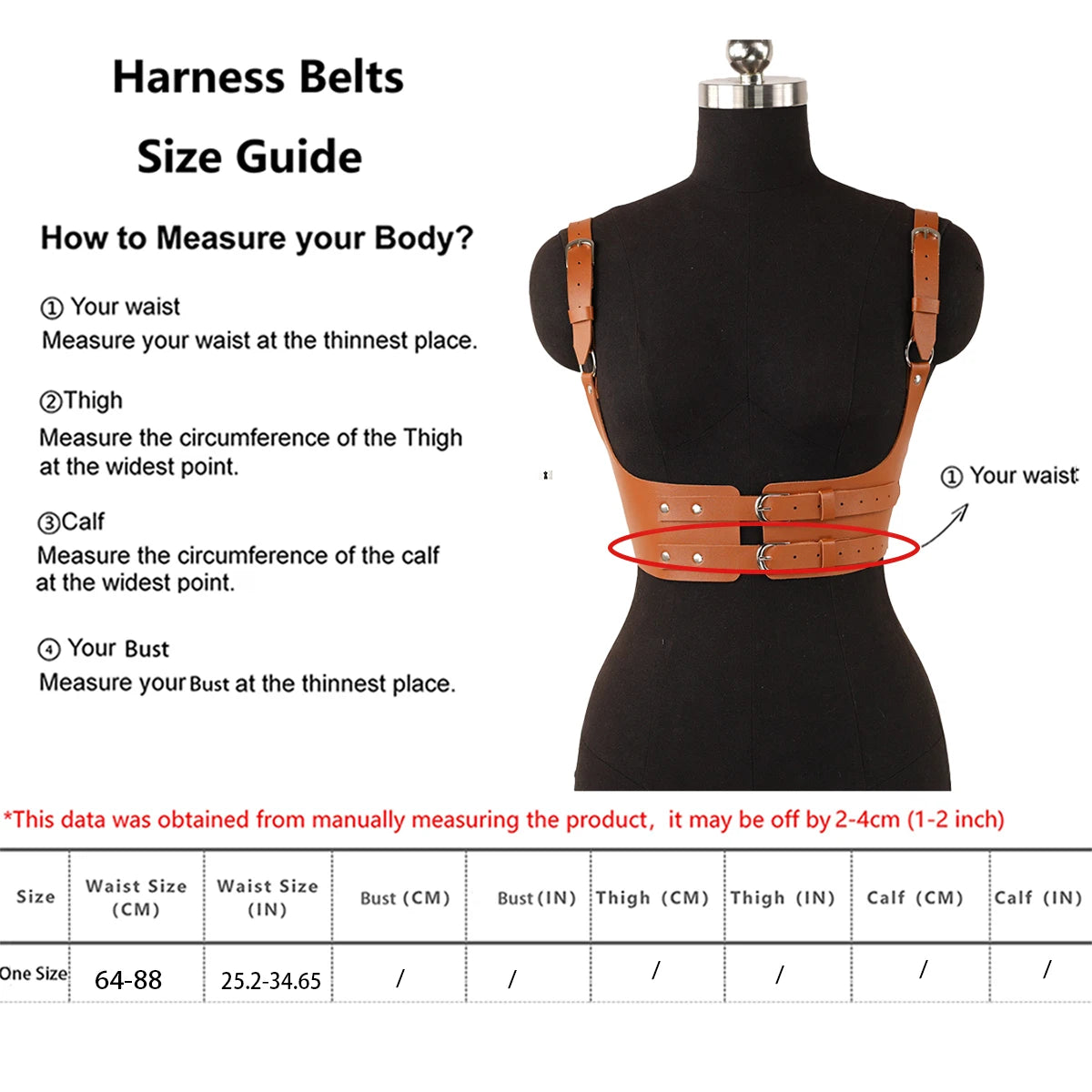 Harness belts size guide with measurements on a mannequin and text instructions.